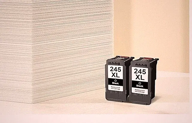 245XL Black Ink Cartridge High Capacity Ink Combo Pack for Canon 245XL Black Ink